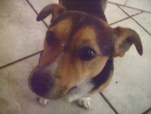 102_3596 (640x482).jpg 102_3596 (640x482).jpg