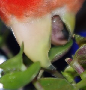 IMGP0171j.JPG IMGP0171j.JPG