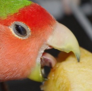 IMGP4544 - Kopie.JPG