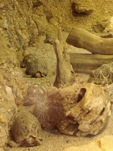 K640_DSC06326.JPG K640_DSC06326.JPG