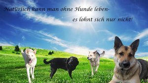 Familienhunde (Klein).jpg