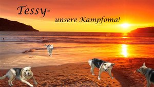 Tessy im Sonnenuntergang (Klein).jpg