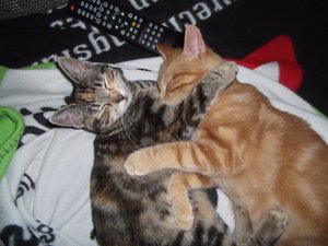 DSCF0842.JPG DSCF0842.JPG