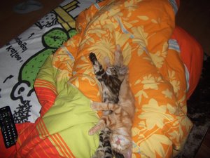 DSCF0749.JPG DSCF0749.JPG