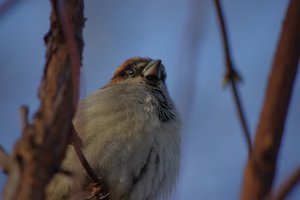 IMGP5642.JPG IMGP5642.JPG