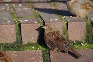 IMGP5854.JPG IMGP5854.JPG