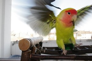 IMGP3735.JPG IMGP3735.JPG