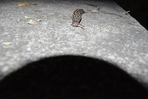 IMGP2880.JPG IMGP2880.JPG