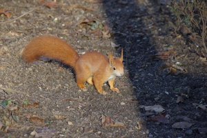 IMGP5636.JPG IMGP5636.JPG