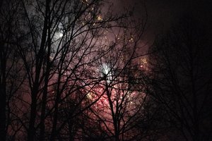 IMGP4732.JPG IMGP4732.JPG