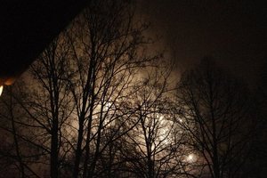 IMGP4743.JPG IMGP4743.JPG