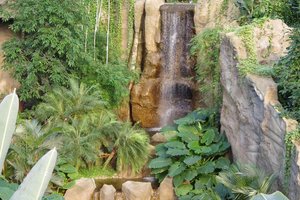 IMGP5811.JPG IMGP5811.JPG