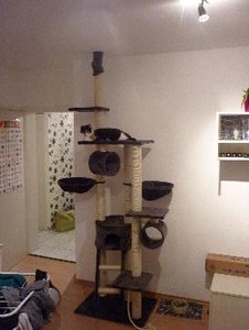 Kratzbaum 2 klein.JPG Kratzbaum 2 klein.JPG