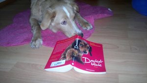 29012012265 (800x450).jpg