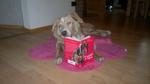 29012012268 (800x450).jpg