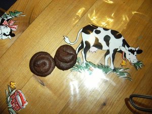 DSCF3410 - Kopie.JPG