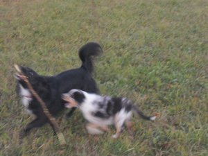 SAM_067066666666666666.JPG SAM_067066666666666666.JPG