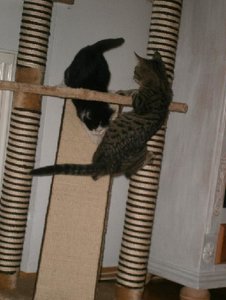 P1130110.JPG P1130110.JPG