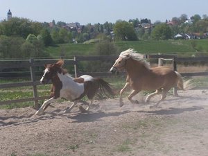 100_2408.JPG 100_2408.JPG