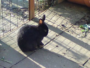 DSC00865 (640x480).jpg