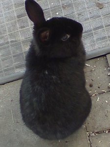 DSC00867 (480x640).jpg