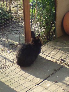 DSC00868 (480x640).jpg