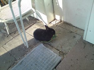 DSC00871 (640x480).jpg