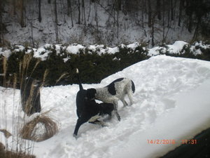 20932_1291362657795_1642125528_715635_7585718_n.jpg 20932_1291362657795_1642125528_715635_7585718_n.jpg