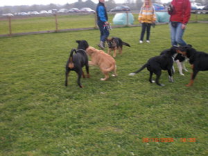 20932_1291352297536_1642125528_715615_5284556_n.jpg 20932_1291352297536_1642125528_715615_5284556_n.jpg