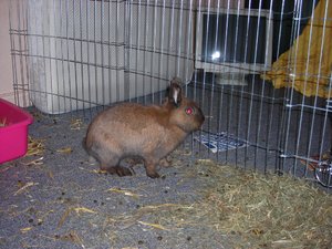 DSCN3889.JPG DSCN3889.JPG