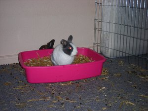 DSCN3890.JPG DSCN3890.JPG