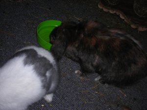 DSCN3891.JPG DSCN3891.JPG