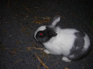 DSCN3892.JPG DSCN3892.JPG