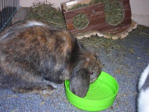 DSCN3893.JPG DSCN3893.JPG