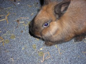 DSCN3894.JPG DSCN3894.JPG