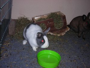 DSCN3896.JPG DSCN3896.JPG