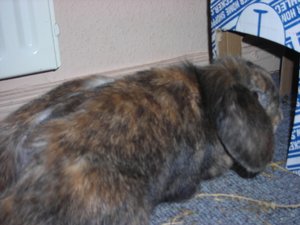 DSCN3897.JPG DSCN3897.JPG