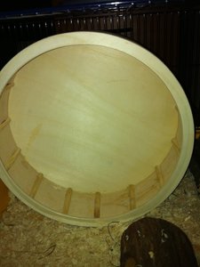 IMG_1334.jpg IMG_1334.jpg