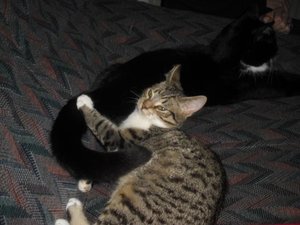 dempqwt7xrq.jpg dempqwt7xrq.jpg