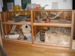 ganzer Käfig, 156cm lang mal 56cm tief.JPG ganzer Käfig, 156cm lang mal 56cm tief.JPG