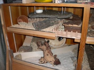 Linke Seite.JPG Linke Seite.JPG