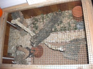 oben rechts, Korkgranulat und Sommerfeeling.JPG oben rechts, Korkgranulat und Sommerfeeling.JPG