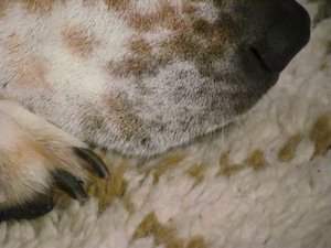 K640_IMG_0042.JPG K640_IMG_0042.JPG