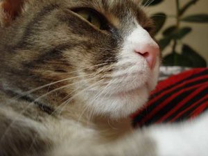 K640_DSC06025.JPG K640_DSC06025.JPG