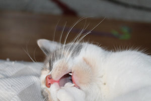 shooting08.jpg shooting08.jpg