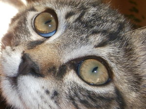 P1110061.JPG P1110061.JPG