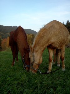 IMG2005.jpg IMG2005.jpg