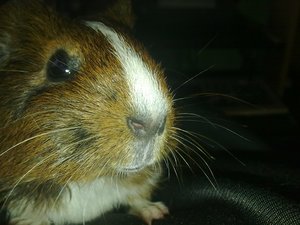 190120122333.jpg 190120122333.jpg