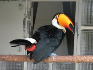 Walsrode 305_klein.jpg