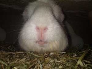 DSC00844 (640x480).jpg DSC00844 (640x480).jpg